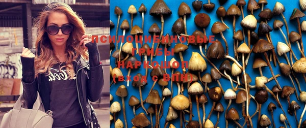 гидропоника Алзамай
