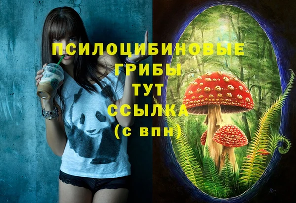 прущая мука Алексеевка