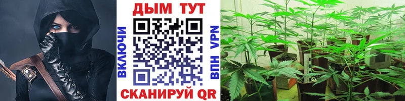 даркнет какой сайт  Казань  Бошки Шишки Bruce Banner  hydra онион 